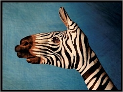 Zebra, Bodypaint